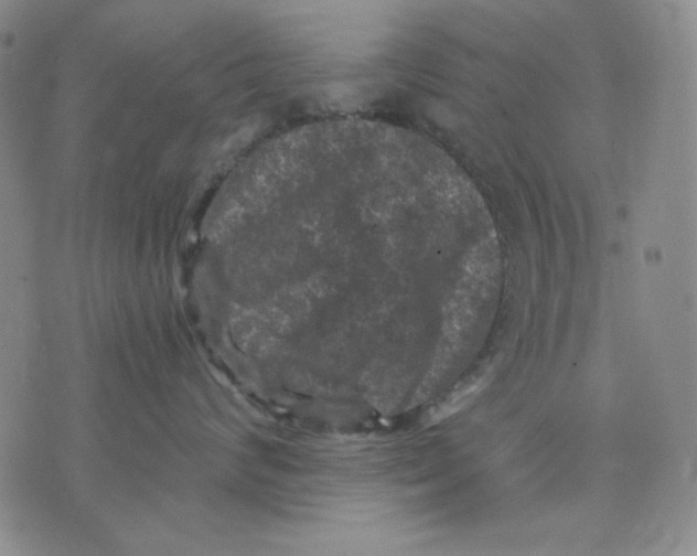 X0000076030624200610152049