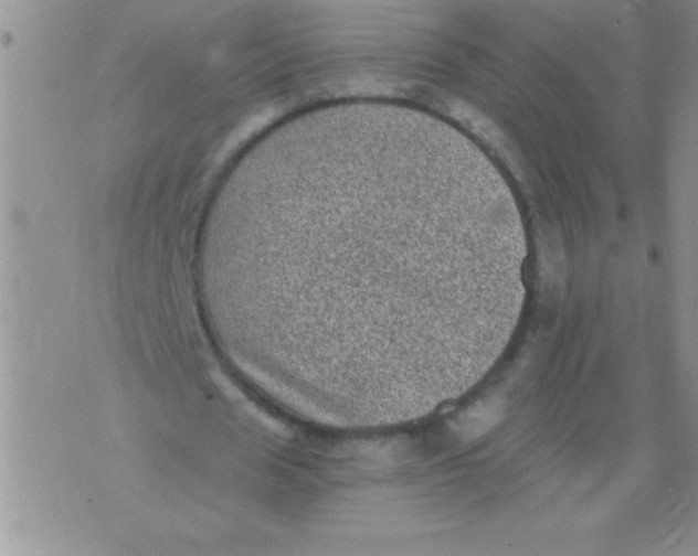 X0000076030625200610152048