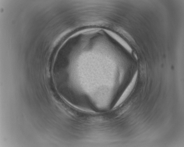 X0000076030628200610152048