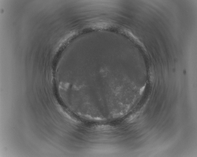 X0000076030637200610152048