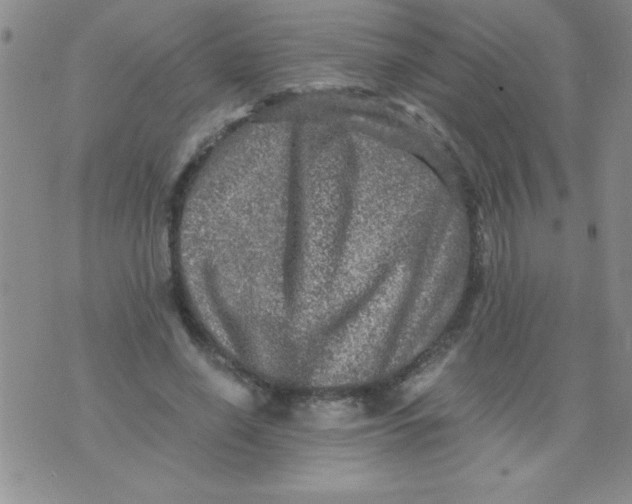 X0000076030638200610152048