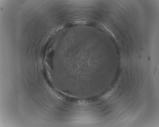 X0000076030641200610152048