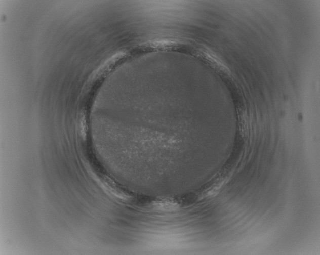 X0000076030644200610152048