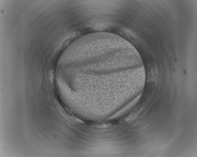 X0000076030646200610152048