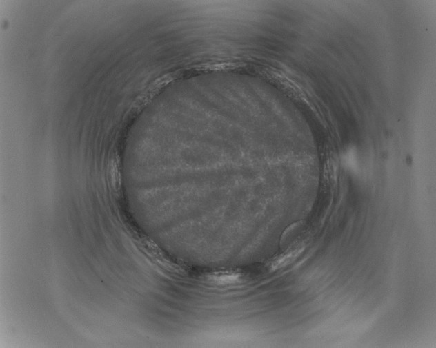 X0000076030651200610152048