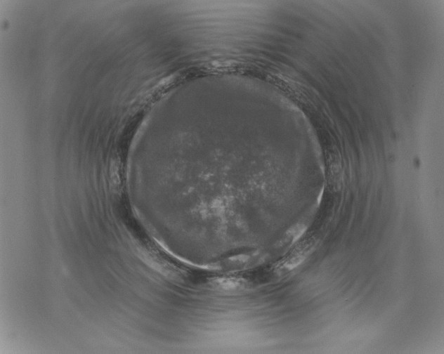 X0000076030654200610152048