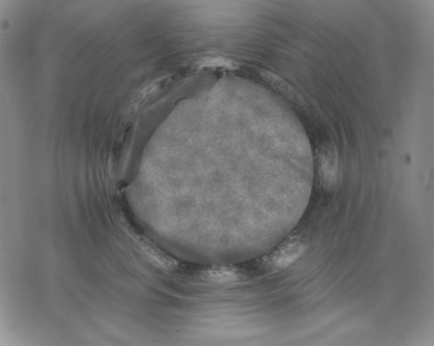 X0000076030668200610152048