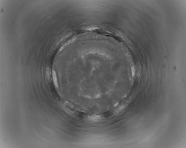 X0000076030669200610152049