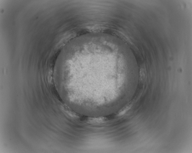 X0000076030671200610152049