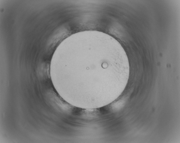 X0000076030672200610152049