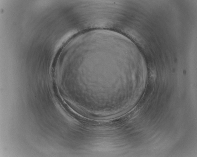X0000076030678200610152048