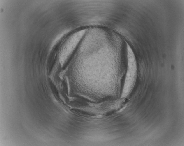 X0000076030680200610152048