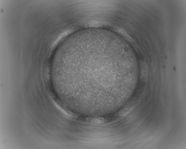 X0000076030683200610152048