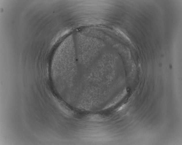 X0000076030685200610152048