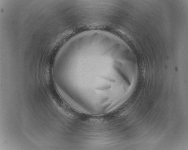 X0000076030690200610152047