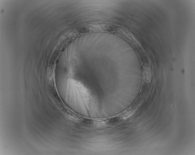 X0000076030701200610152047
