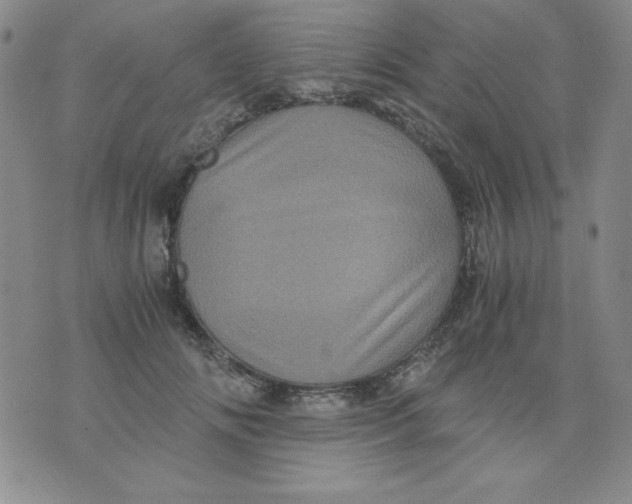 X0000076030702200610152047