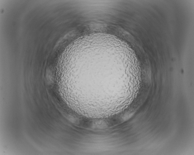 X0000076030705200610152047