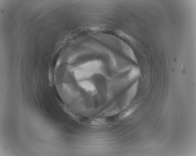 X0000076030720200610152047
