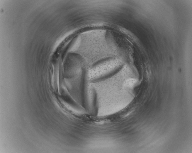 X0000076030728200610152046