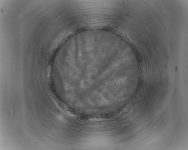 X0000076030742200610152047