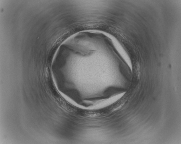 X0000076030746200610152047