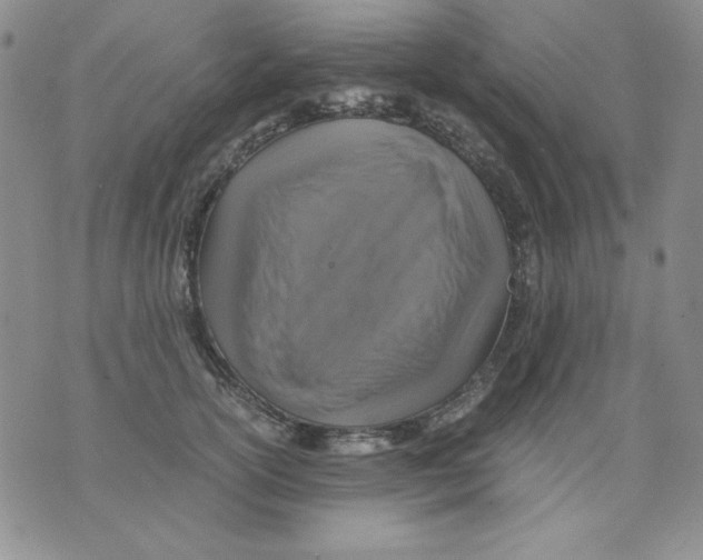 X0000076030754200610152047