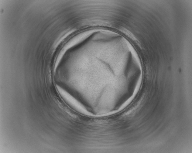 X0000076030782200610152046