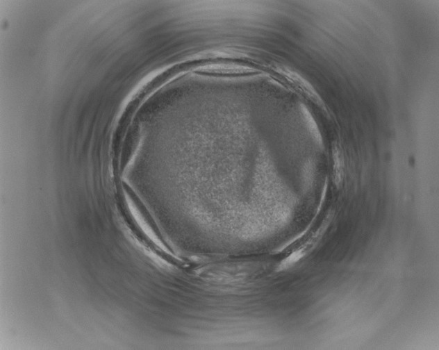 X0000076030784200610152046