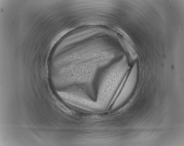 X0000076030787200610152046