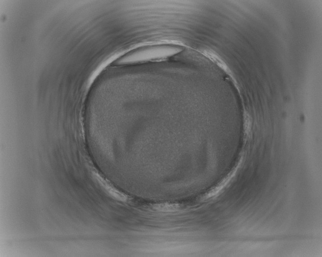 X0000076030789200610152046