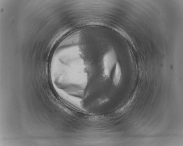 X0000076030790200610152046