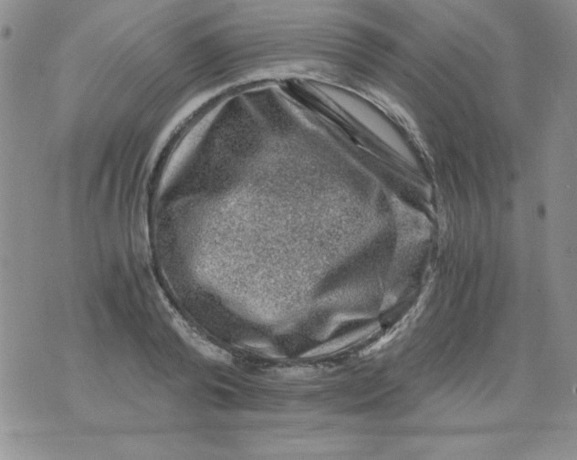 X0000076030792200610152046