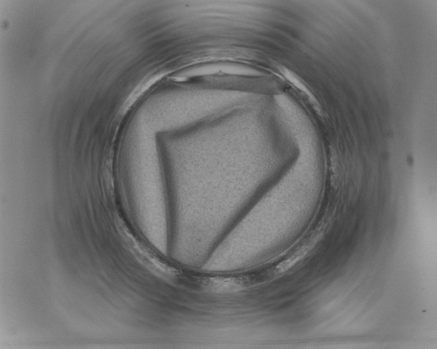X0000076030794200610152046