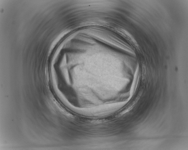 X0000076030796200610152046