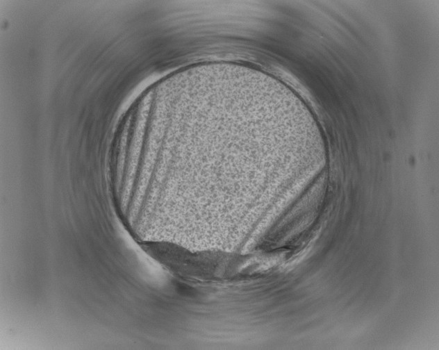 X0000076030803200610152046