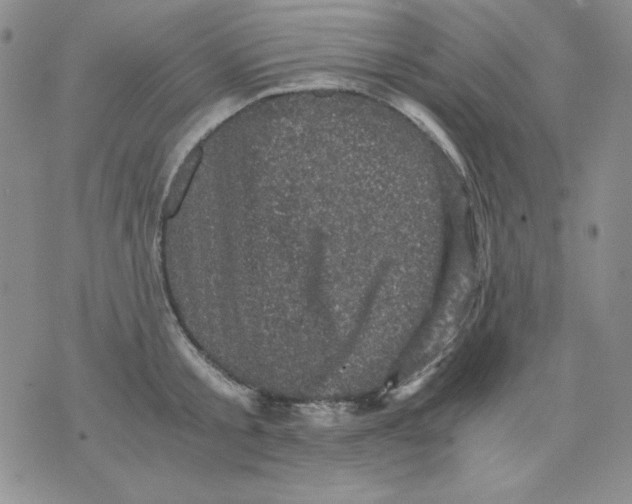 X0000076030805200610152046