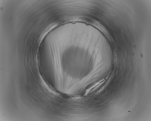 X0000076030806200610152046