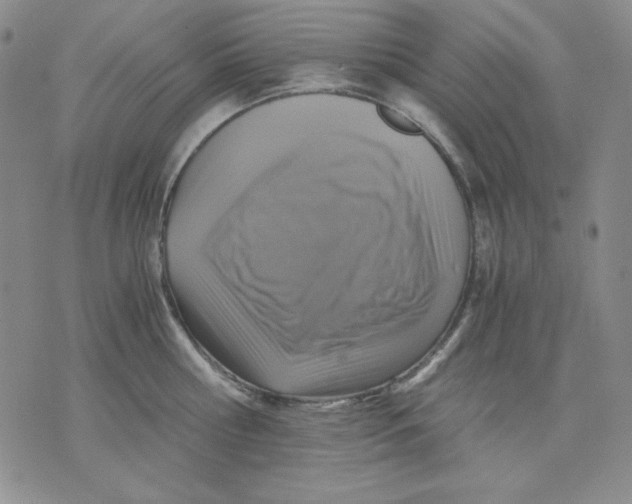 X0000076030810200610152046
