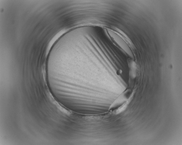 X0000076030812200610152046