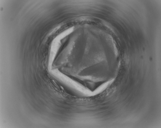 X0000076030823200610152045