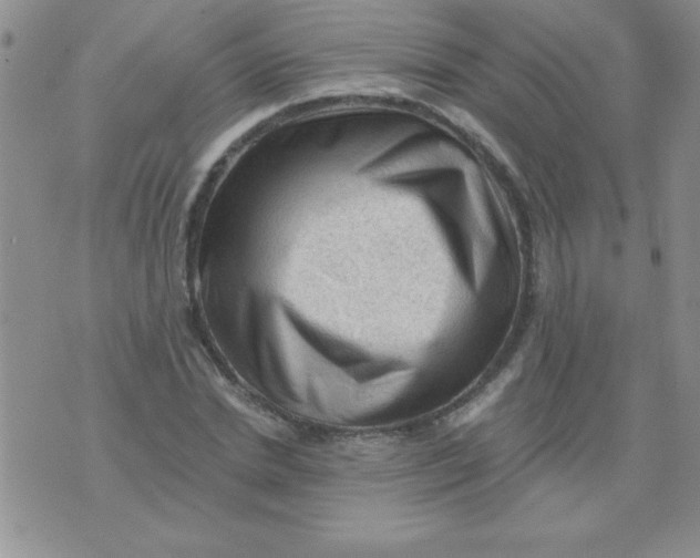 X0000076030830200610152045