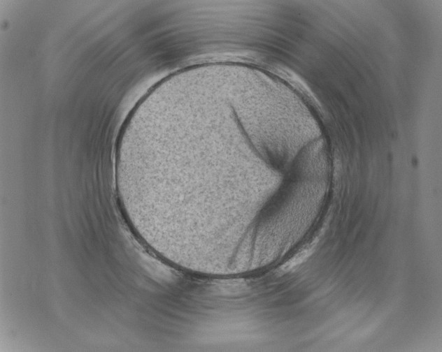 X0000076030844200610152045