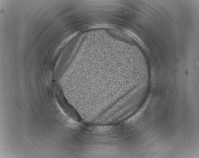 X0000076030849200610152045
