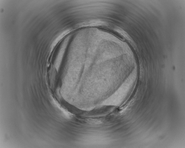 X0000076030850200610152045