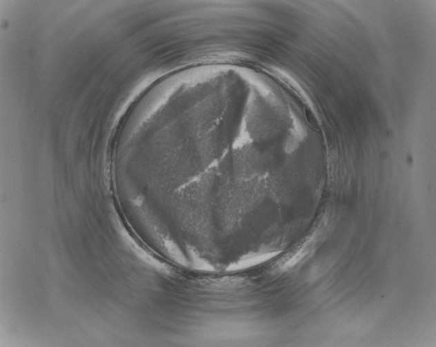 X0000076030851200610152045