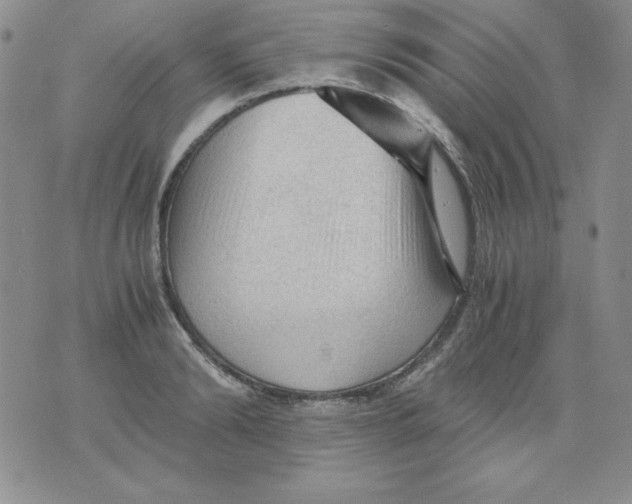 X0000076030894200610152044