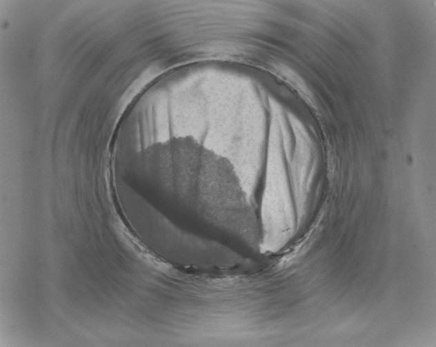 X0000076030899200610152044