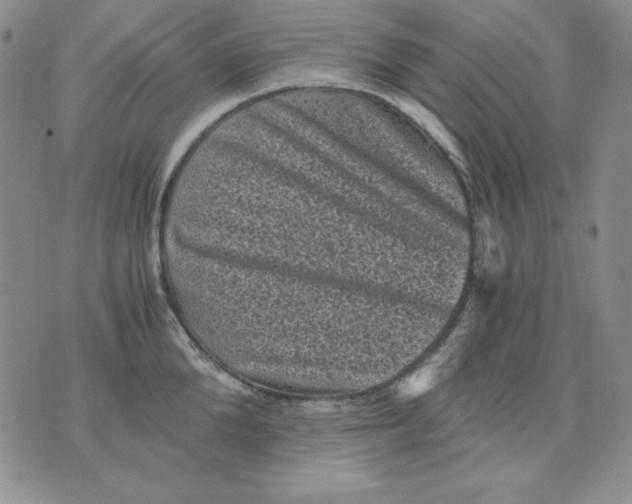 X0000076030904200610152044