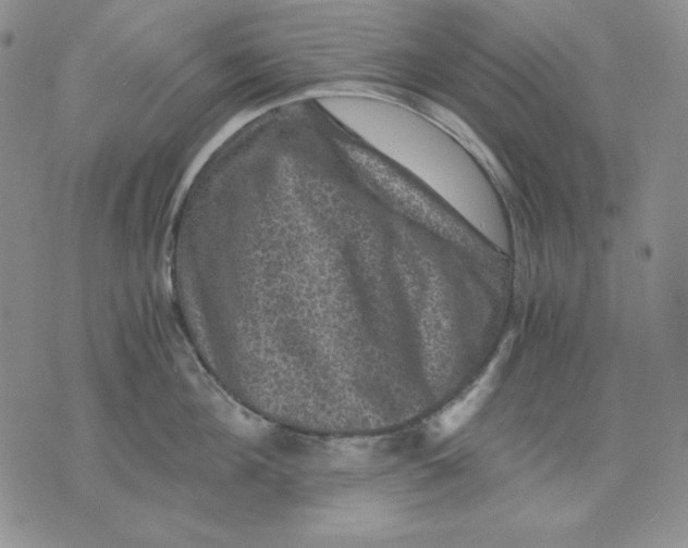 X0000076030908200610152044